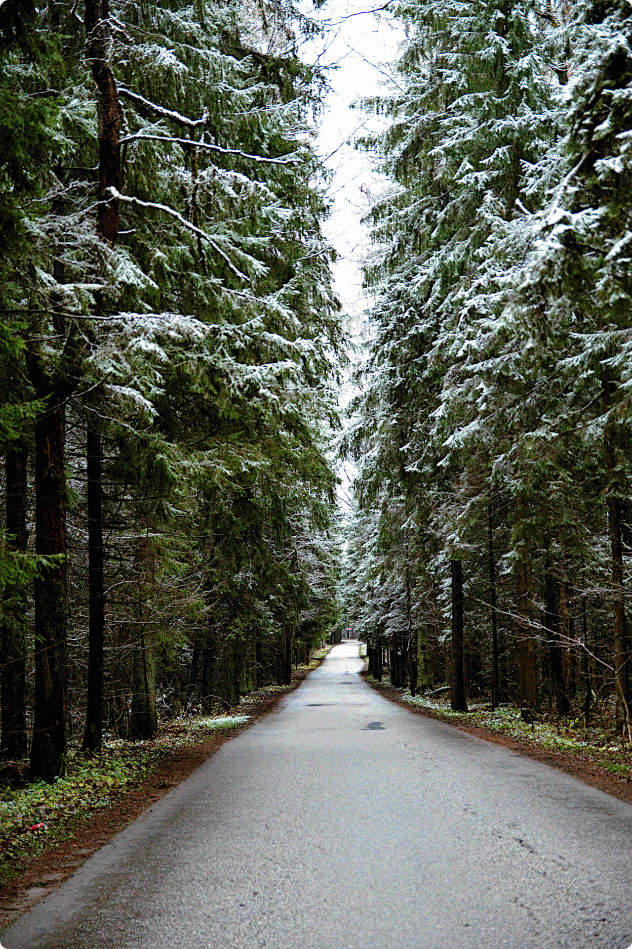 Территория центра рядом с природой