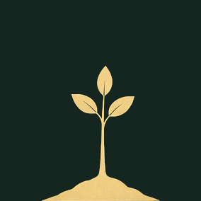 Символ терапевтического этапа